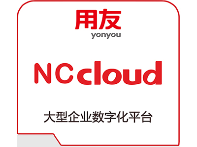 眉山用友NC Cloud